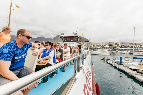 Tenerife: walvis- en dolfijnenboottocht met onderwaterzichtWalvis- en dolfijnenboottocht van 2 uur zonder ophaalservice