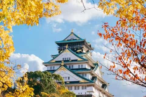 Osaka Castle Autumn Walk: History, Colors & Castle Views - Image 3