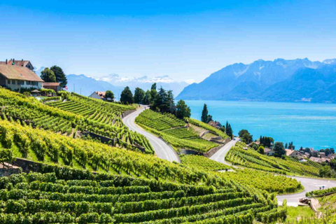 Private Lavaux Vineyards & Montreux Experience