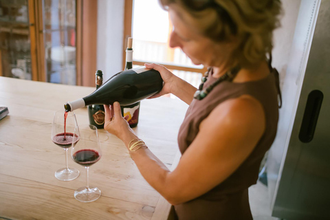 Mezzocorona: Teroldego Vineyard Tour and Wine Tasting Italian