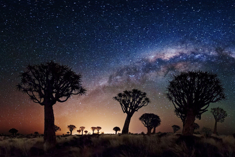 Visite du parc national de Joshua Tree au départ de Los Angeles