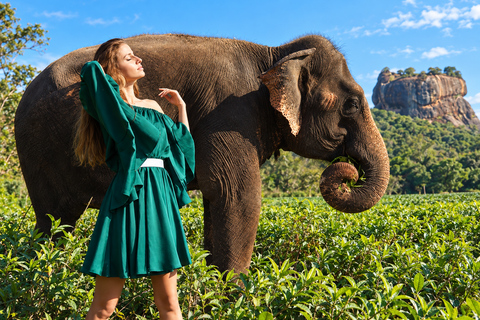 Kandy: Elephant Village Experience & Kandyan Dance Tour Kandy: Private Guided City Tour by Tuk-Tuk