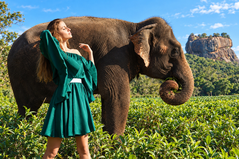 Kandy: Elephant Village Experience & Kandyan Dance Tour Kandy: Private Guided City Tour by Tuk-Tuk