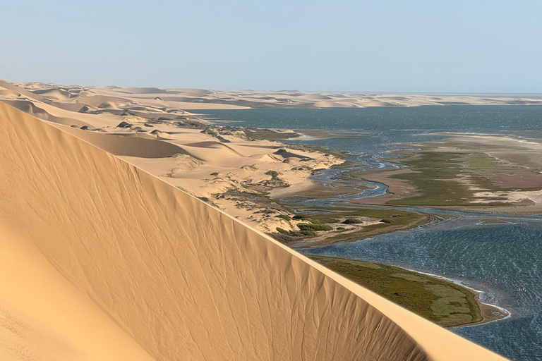 Walvisbay: Sandwich Harbour 4x4 Tour-Unparalleled Experience