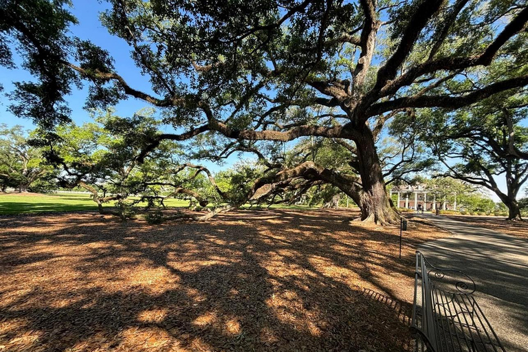 New Orleans: Oak Alley Plantation und Katrina Stadtführung