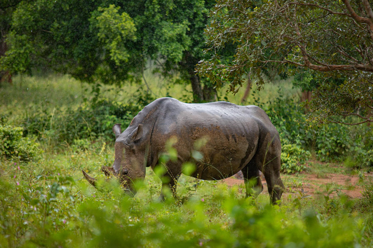 Ouganda : 19 jours de visite de la faune, des paysages et de la cultureCircuit de luxe de 19 jours pour découvrir la faune, les paysages et les cultures de l&#039;Ouganda