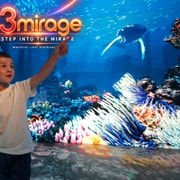 Rotorua: 3Mirage An Immersive Art Experience Rotorua: 3Mirage An Immersive Art Experience
