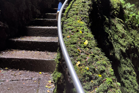 Terceira: Volcanic Cave Tour with Guide Terceira: Private Volcanic Cave Tour with Guide