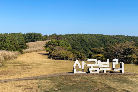 Jeju: Udo Island, Seongsan & Tangerine Picking Tour