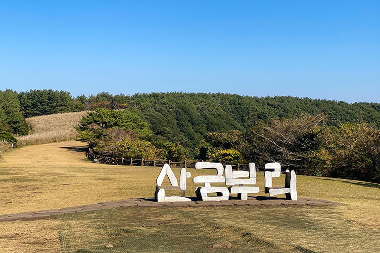 Jeju: Udo Island, Seongsan & Tangerine Picking Tour
