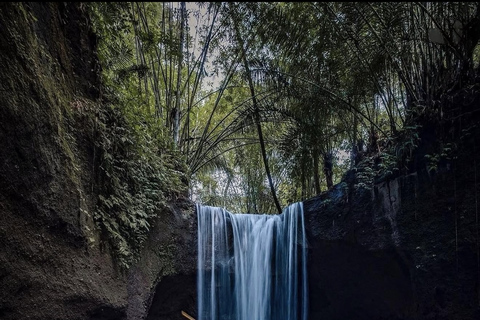 Ubud 3 Hidden Waterfalls & Tegalalang Rice Terrace Tour