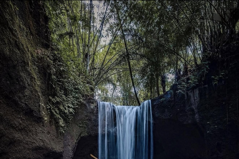 Ubud 3 Hidden Waterfalls & Tegalalang Rice Terrace Tour