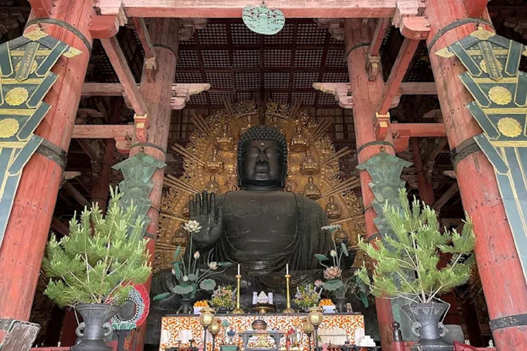 Osaka: Discovering Nara Timeless Grace Guided Tour