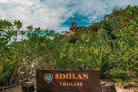 From Khao Lak: Similan Islands Snorkeling Trip with Lunch