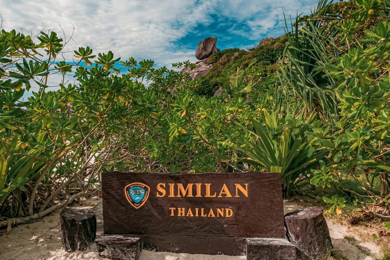 From Khao Lak: Similan Islands Snorkeling Trip with Lunch