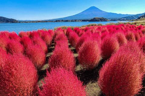 From Tokyo: Mount Fuji Full Day Customizable Private Tour