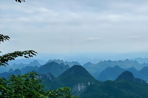 Private Guilin Reed Flute Cave, Elephant Hill & Tea Tour