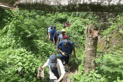 Nadi : visite d&#039;une jounée du village de Nalesutale
