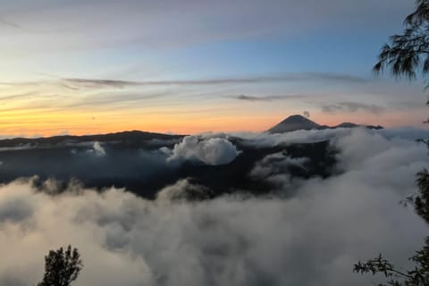 From Surabaya: Mount Bromo Private Sunset Tour with Pickup - Image 2