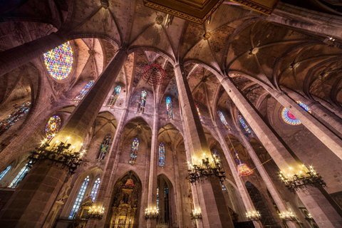 Mallorca: Cathedral tour, views of Bellver Castle, and ensaïmada Shared excursion with a meeting point