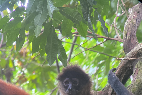 Corcovado National Park: One-Day Tour from Puerto Jimenez!