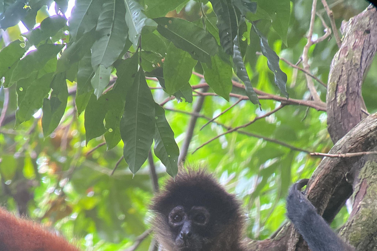 Corcovado National Park: One-Day Tour from Puerto Jimenez!