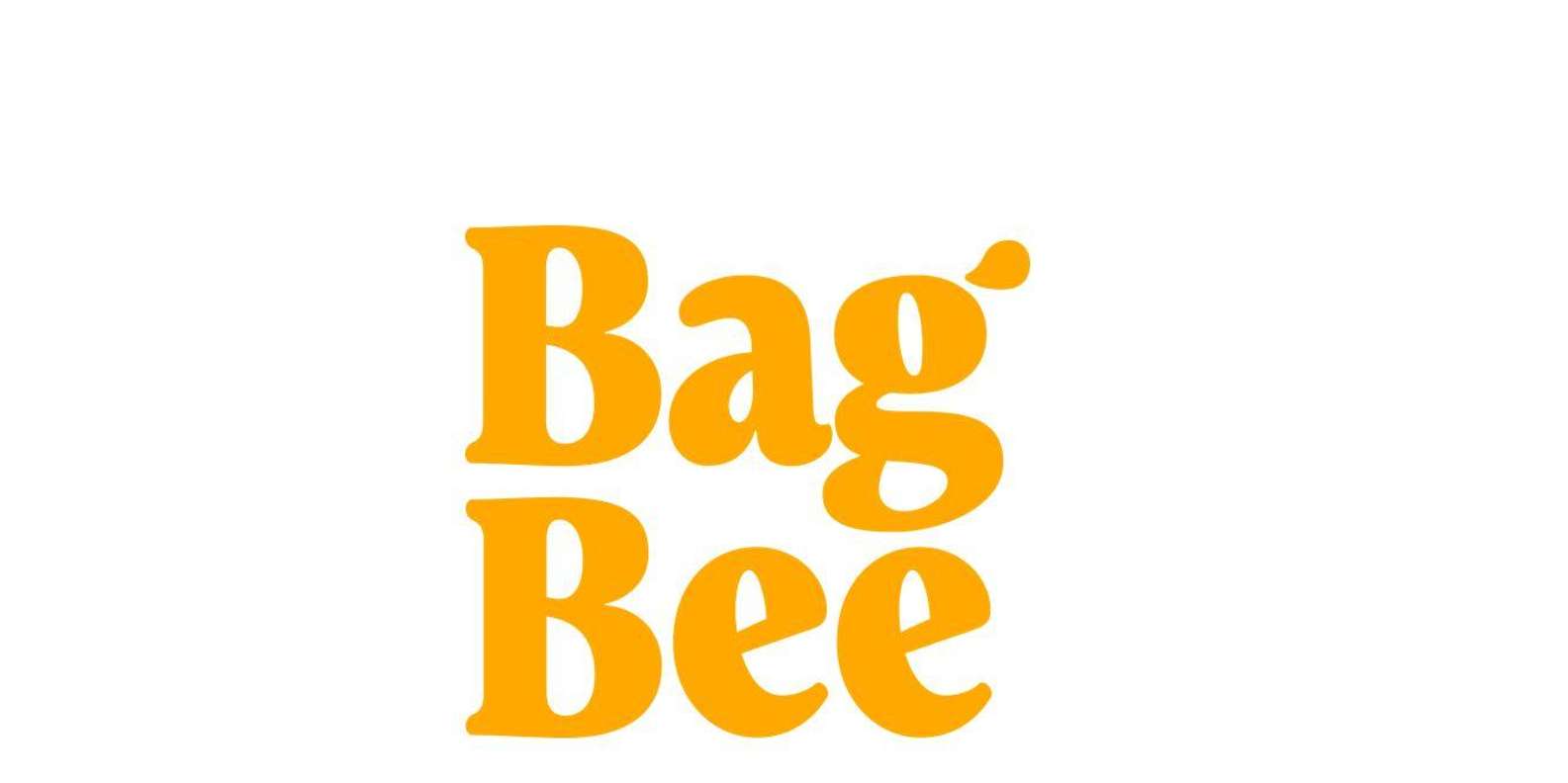 Регистрация на рейс авиакомпании BagBee из отелей и домов (вечерний  трансфер) | GetYourGuide