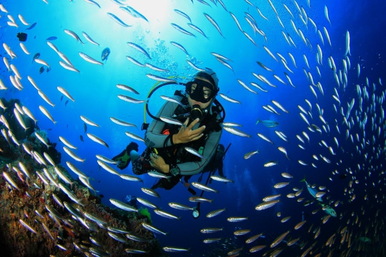 Sharm: Ras Mohamed Diving Boat Trip with Private Transfers Boat Trip with Two Intro-Dives and Private Transfers
