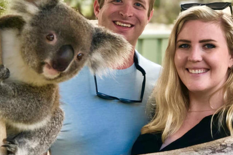 Baby Animals, Boomerangs & BBQ Lunch From Sydney: Baby Animals & Boomerangs Tour with BBQ Lunch