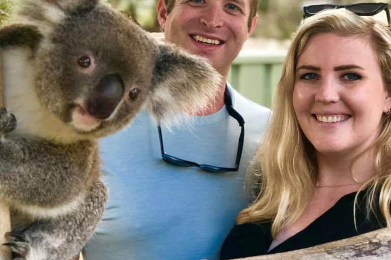 Baby Animals, Boomerangs & BBQ Lunch From Sydney: Baby Animals & Boomerangs Tour with BBQ Lunch