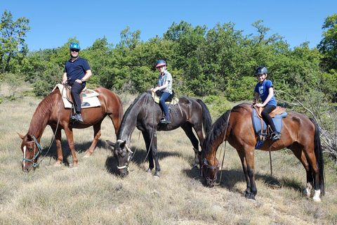 Horseback riding in Provence Luberon