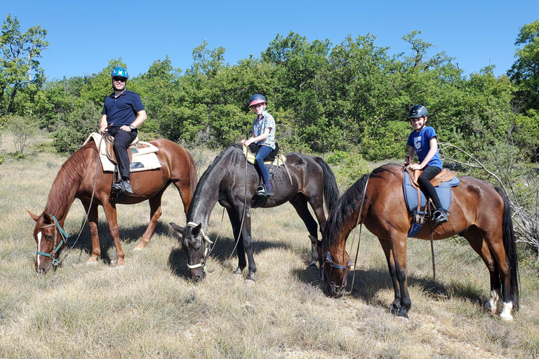 Horseback riding in Provence Luberon