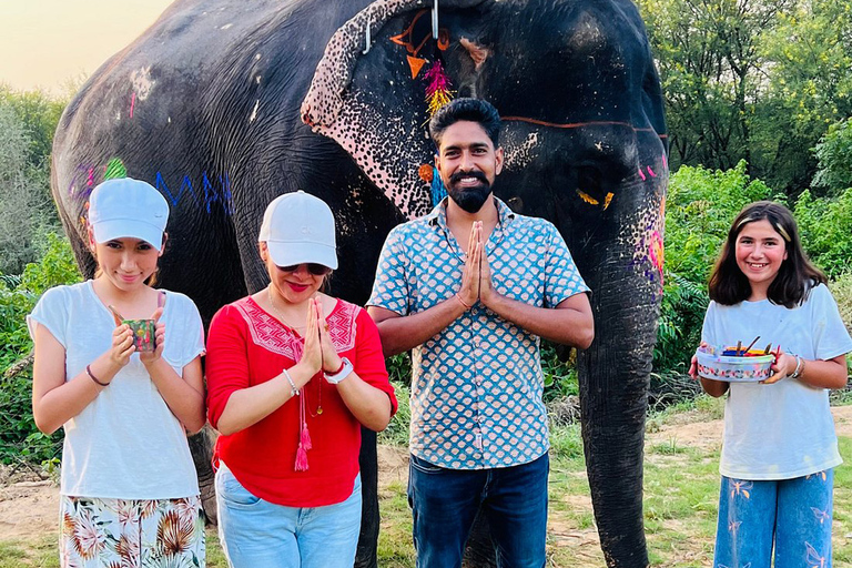 Elephant Sanctuary for Best elephant experience in JaipurJaipur: Elephant Sanctuary Entry Ticket with Transfers