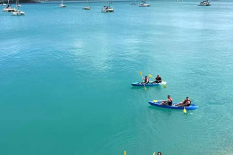 Airlie Beach: medio día de aventura en kayak de mar para ver tortugas