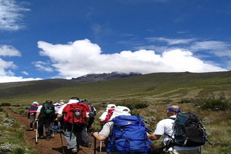Beste 7 Tage Kilimanjaro-Besteigung über die Machame-Route