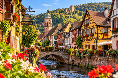 From Zurich: Alsace Villages & Colmar Private Day Trip
