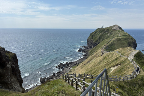 Sapporo: Shakotan Blue Coast and Otaru Canal Private Tour
