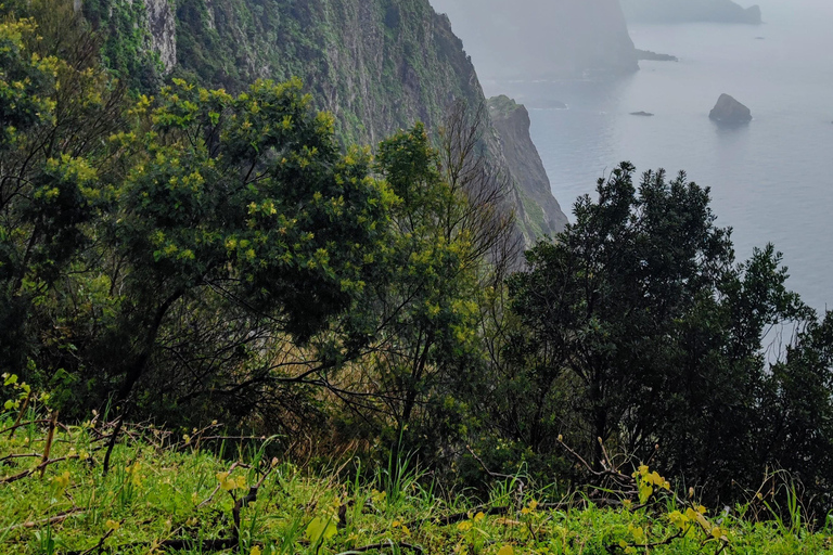 Excursión por la costa de Madeira