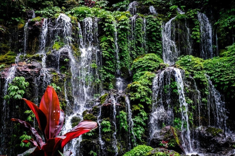 Bali: Tour delle colline nascoste, delle cascate e dei templi di Wanagiri