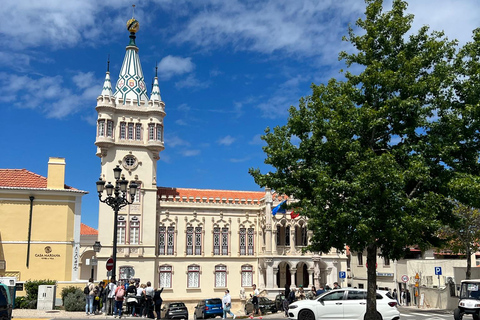 Sintra: Half day tour , Peña place and Sintra village