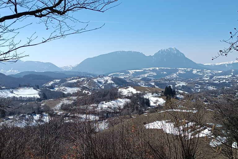 Brașov Transylvania: Guided Hike with Mountain Guide