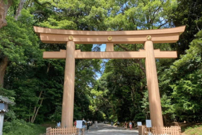 جولة طوكيو للثقافة الشعبية والتقاليد: من ضريح ميجي إلى هاراجوكو