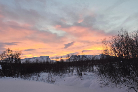 Arctic Morning - Snowshoe Experience (Private tour)