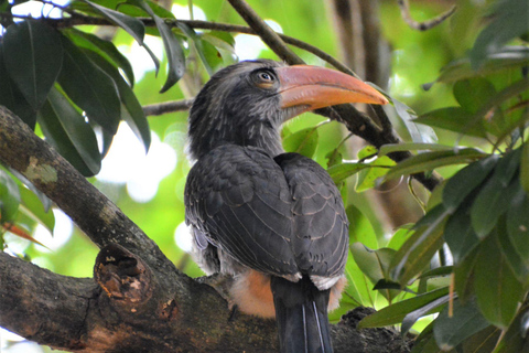 Overnight, Periyar Wildlife Tour with Elephant Bath Overnight, Periyar Wildlife Tour with Elephant Bath