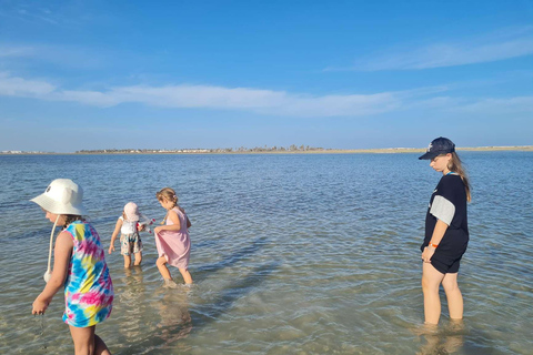 Djerba: Olive Oil Secrets with a Visit to an Underground Oil Mill