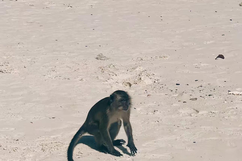 Au départ de PHI PHI - 7 îles à bord d&#039;un bateau à longue queue