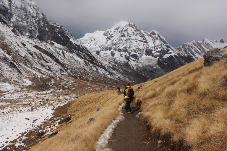 Pokhara: Trekking al Campo Base del Annapurna - 5 Días