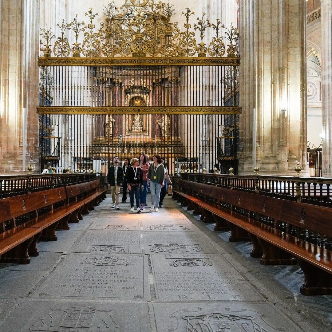 Galería de fotos para redes