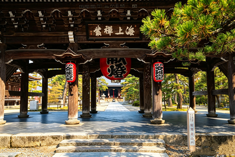 Osaka: Amanohashidate, Ine Cruise & Miyama Village From Osaka (Basic Package)
