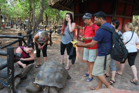 Zanzibar: Half-Day Adventure to Prison Island & Stone Town